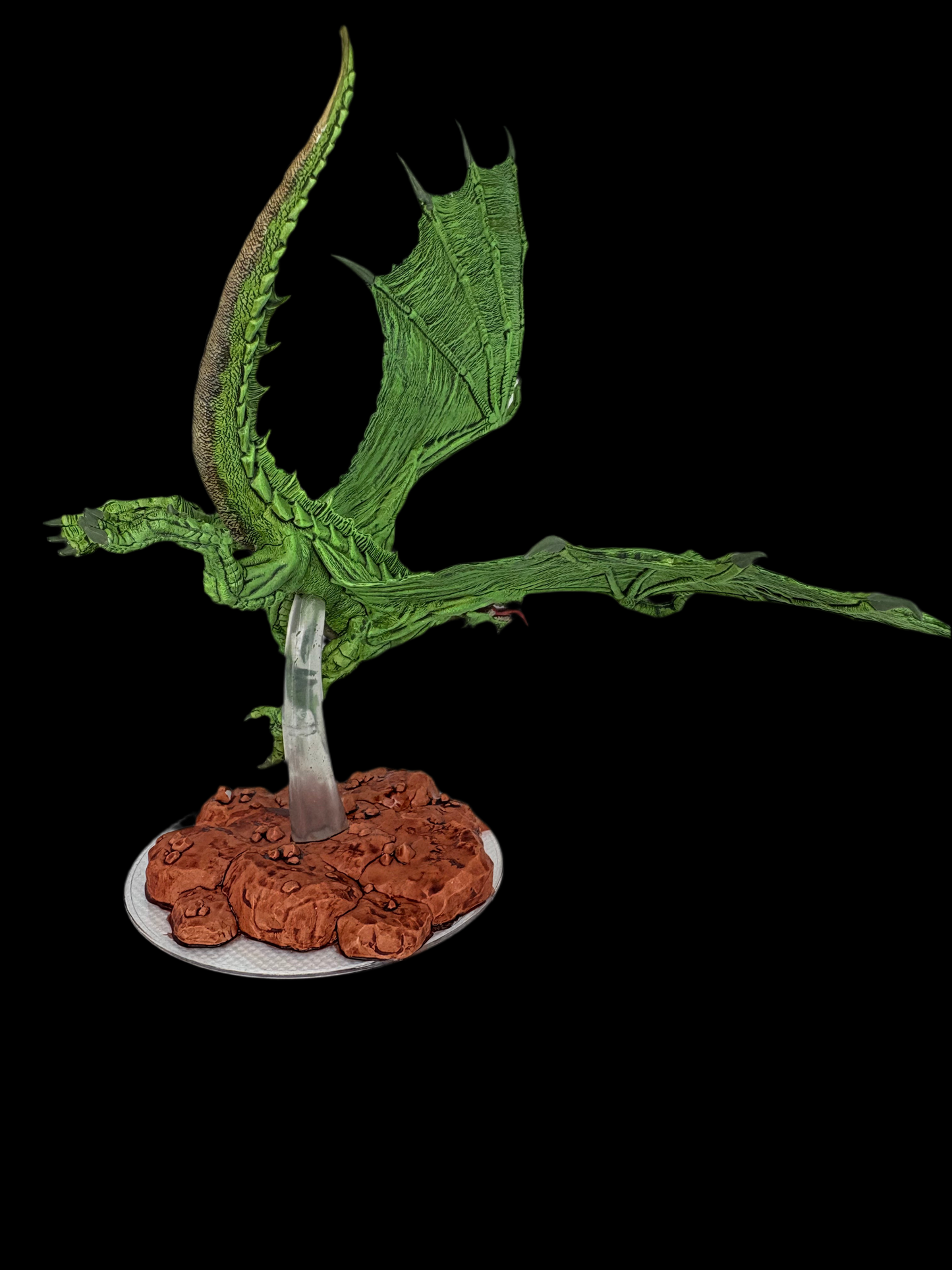 Young Green Dragon