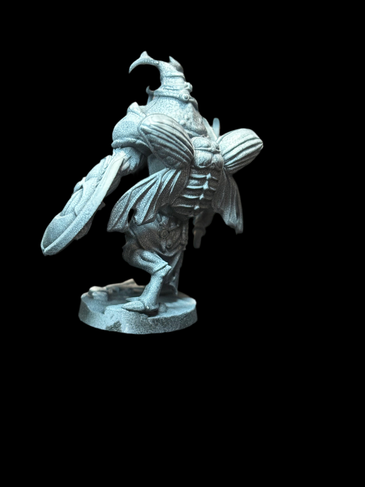 Beetle Warrior