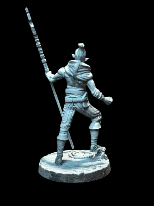 Elf Pirate - Spearman