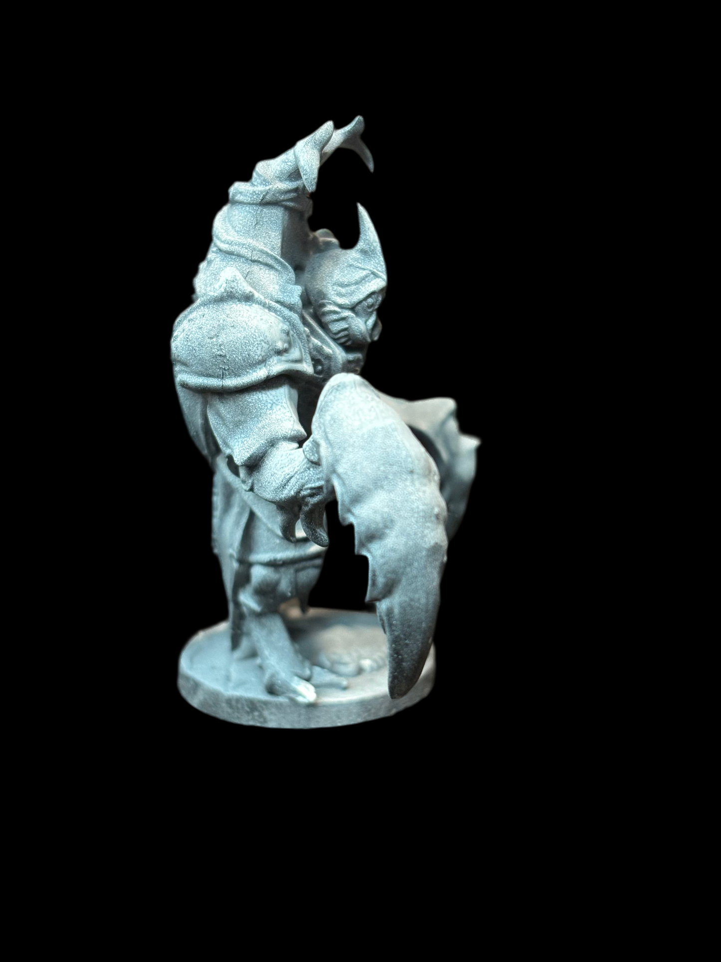 Beetle Warrior