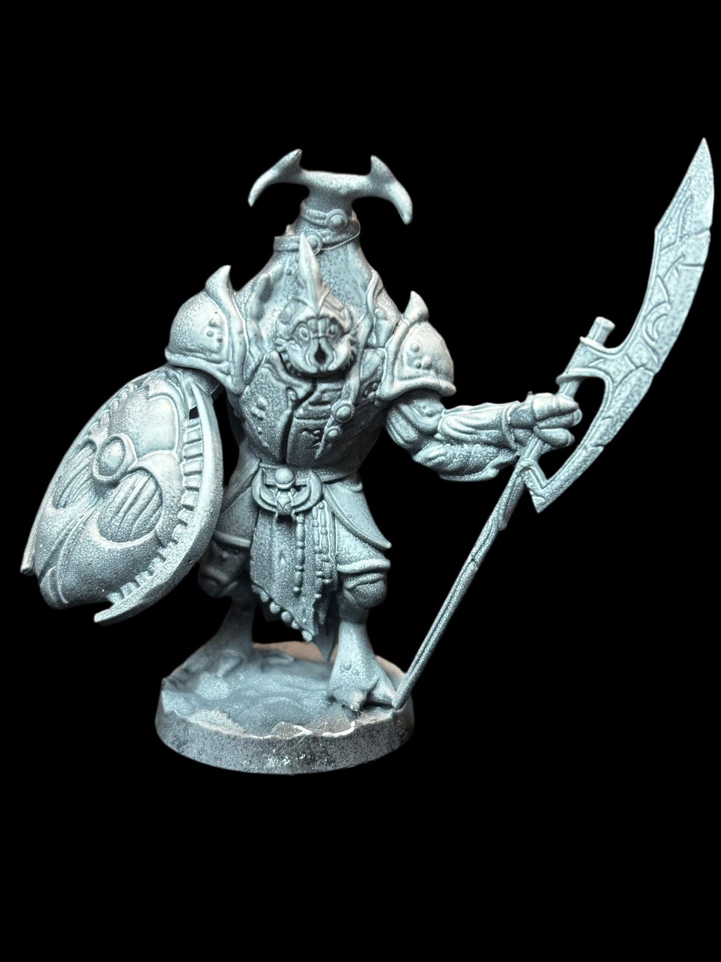 Beetle Warrior