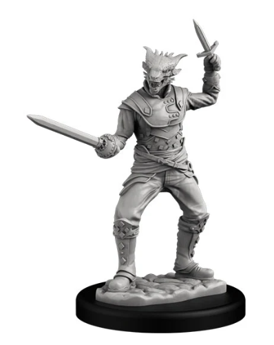 Dragonborn Swashbuckler (Male)