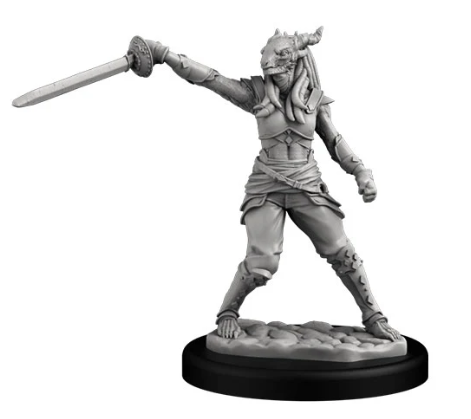 Dragonborn Swashbuckler (Female)