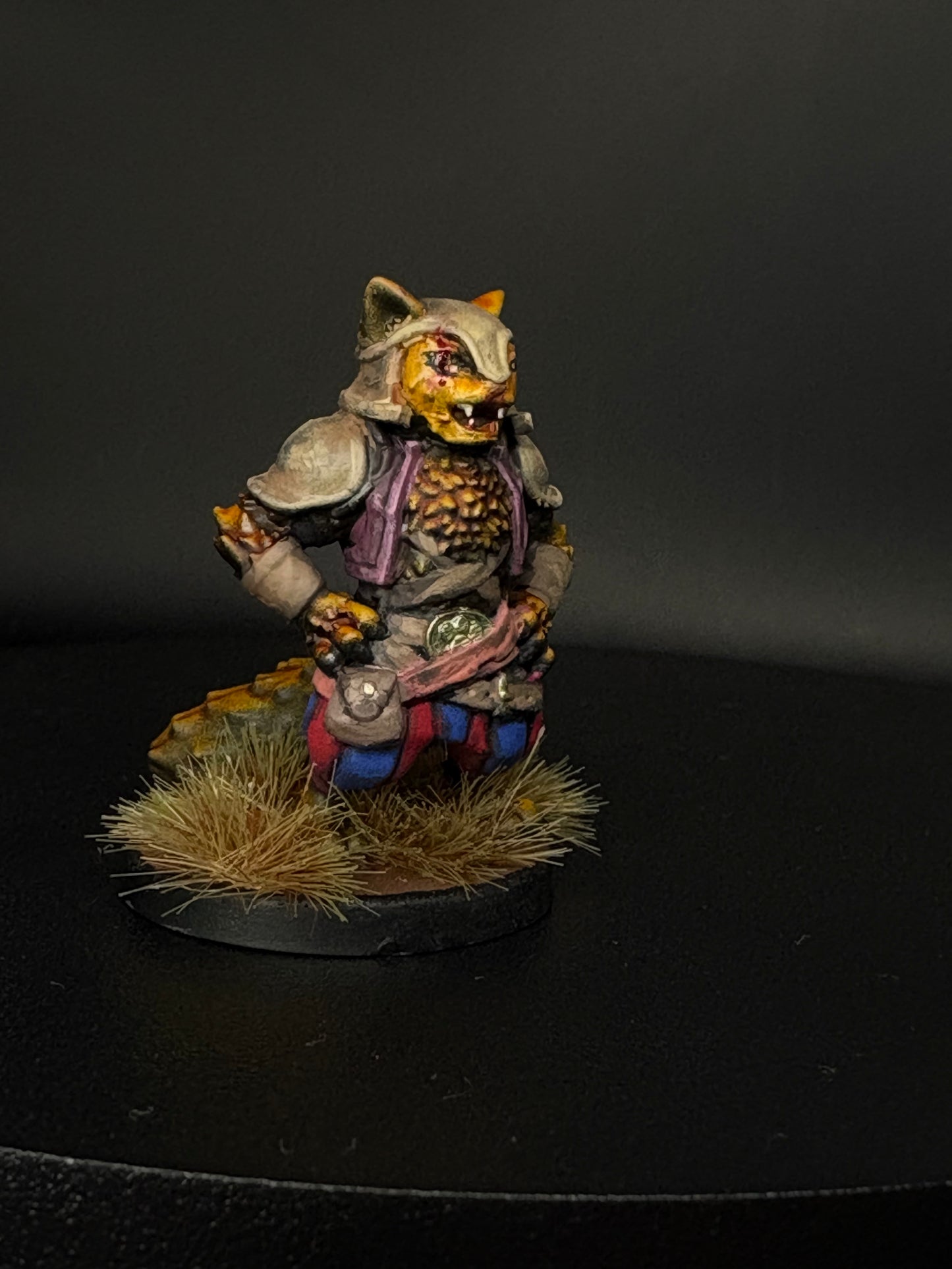 Tabaxi Fighter