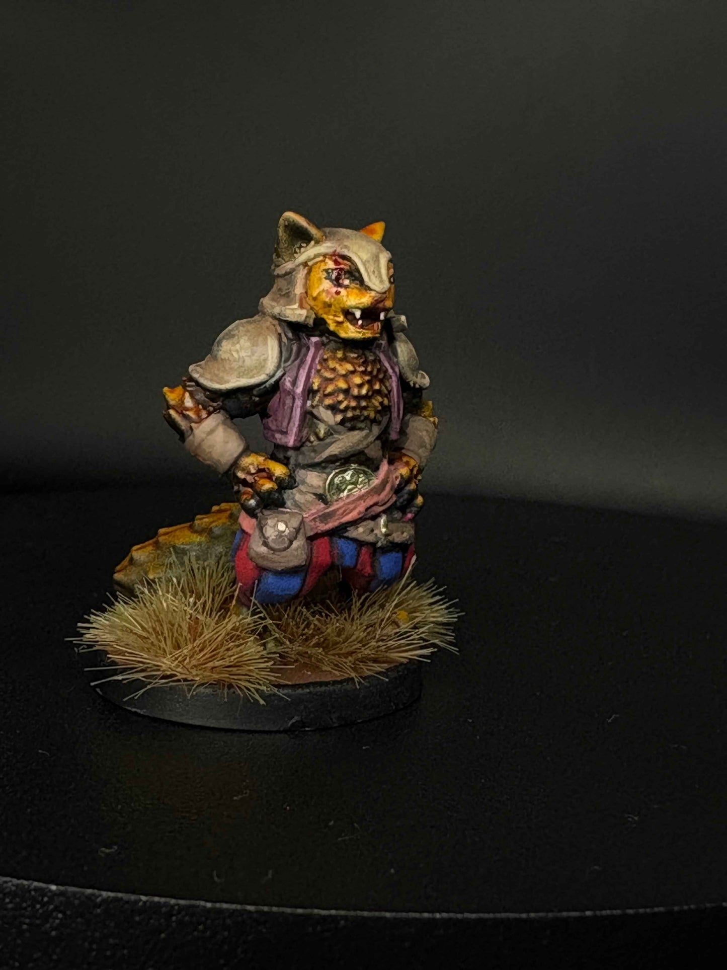 Tabaxi Fighter