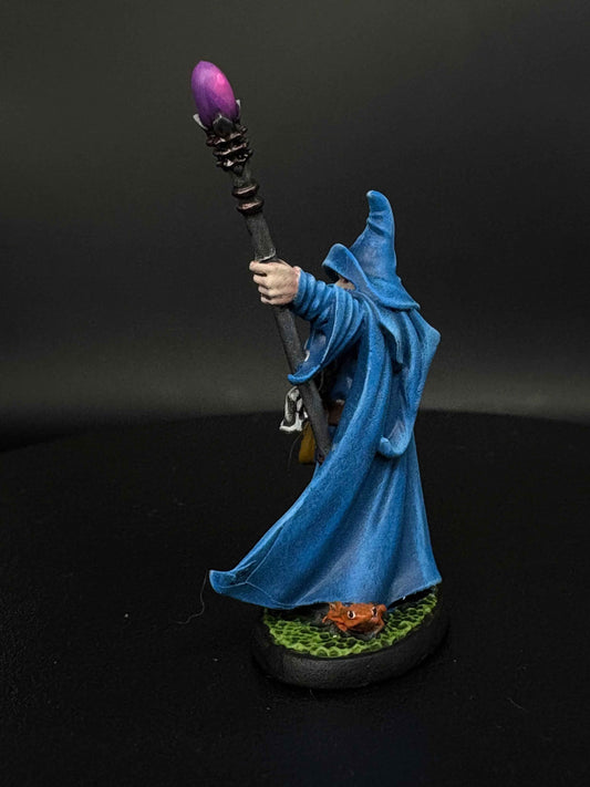 Human Wizard