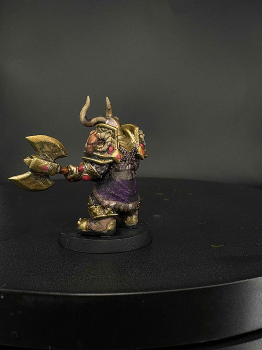 Dwarf Paladin