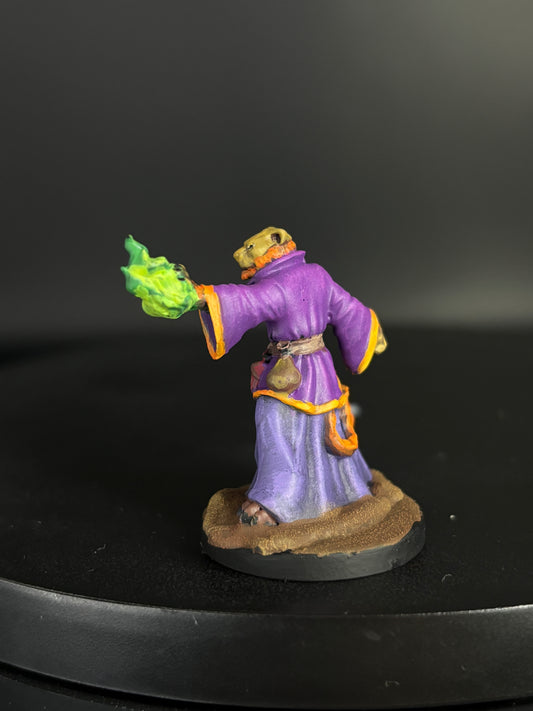 Tabaxi Sorcerer