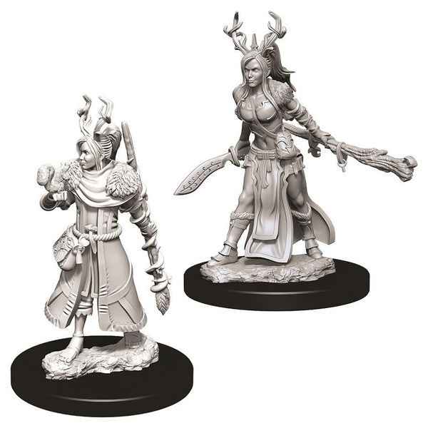 D&D: Nolzur's Marvelous Minis: Female Human Druid W9 (Unpainted)