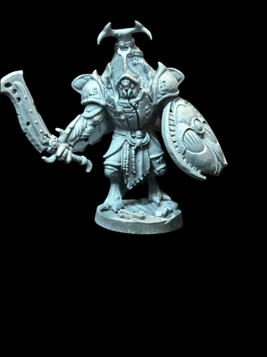 Beetle Warrior