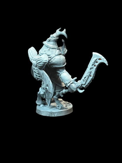 Beetle Warrior