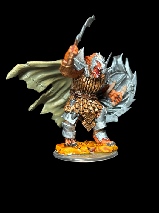 Dragonborn Fighter