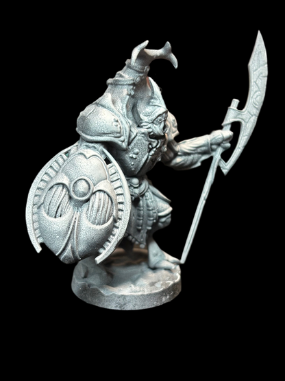 Beetle Warrior