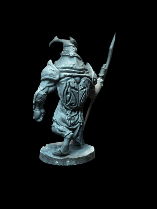 Beetle Warrior