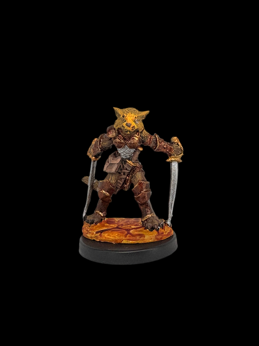Tabaxi Rogue