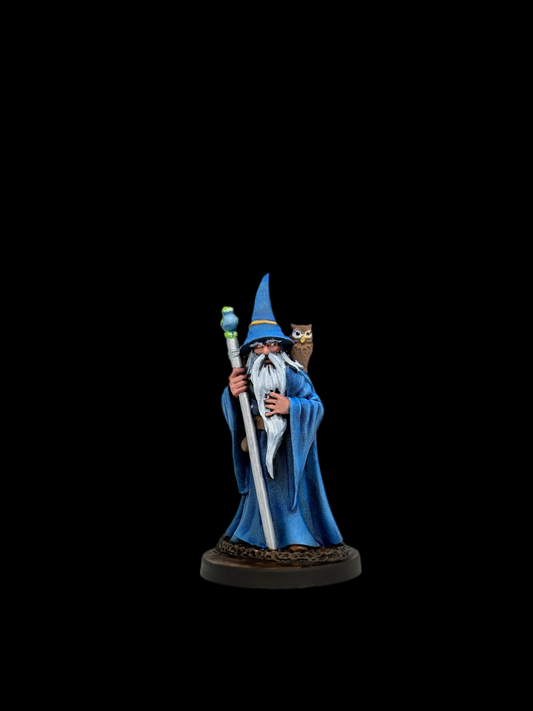 Human Wizard