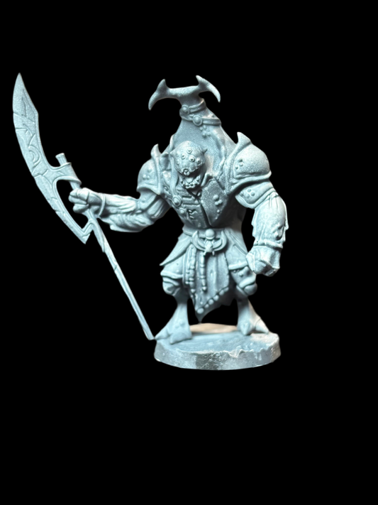Beetle Warrior