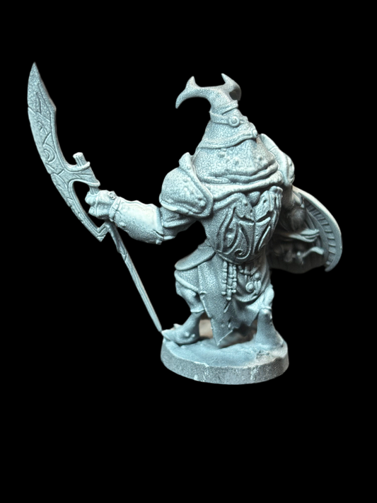 Beetle Warrior