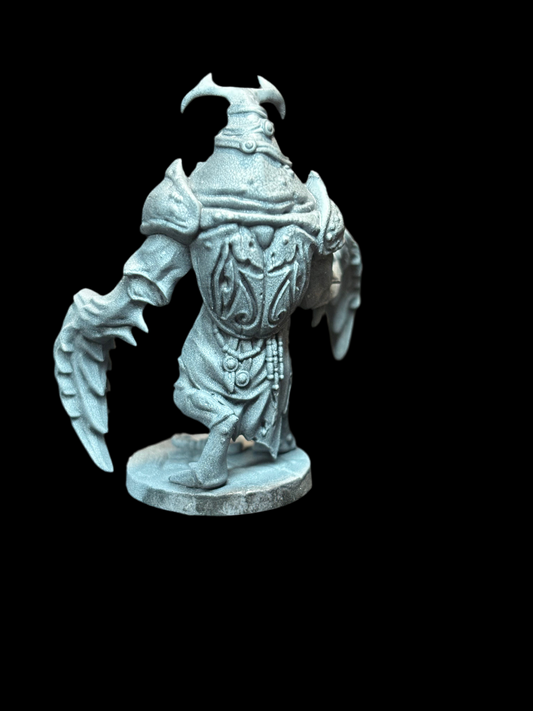 Beetle Warrior