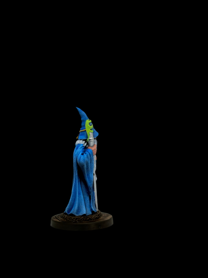 Human Wizard