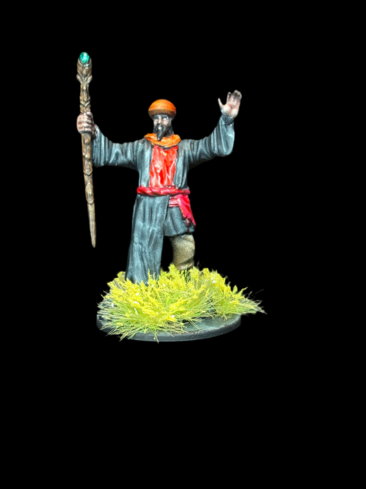 Human Wizard