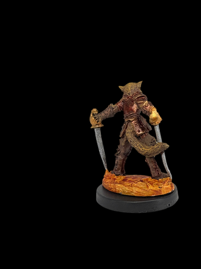 Tabaxi Rogue