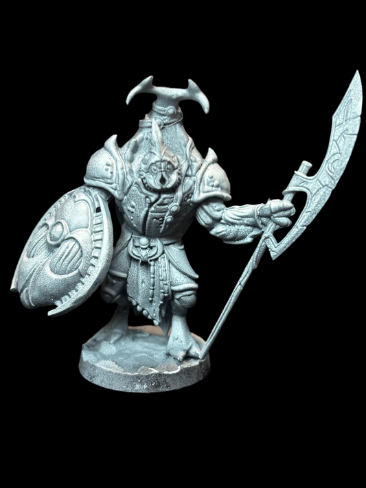 Beetle Warrior