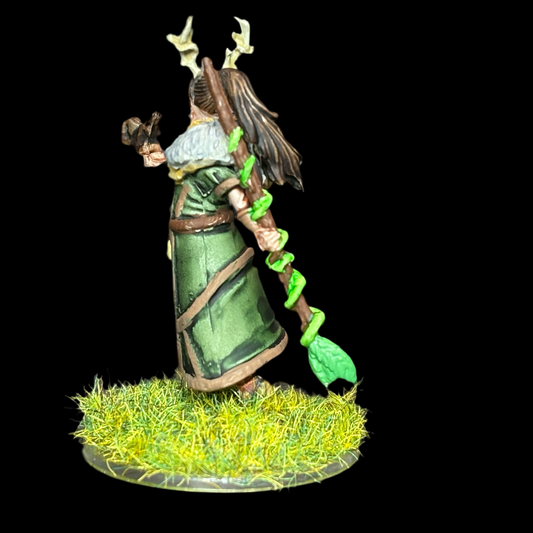 Human Druid