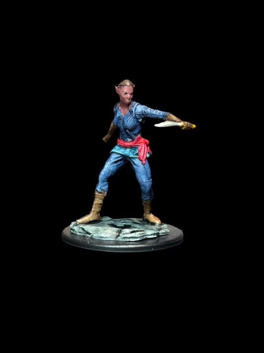 Shifter Rogue