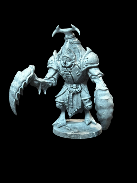 Beetle Warrior