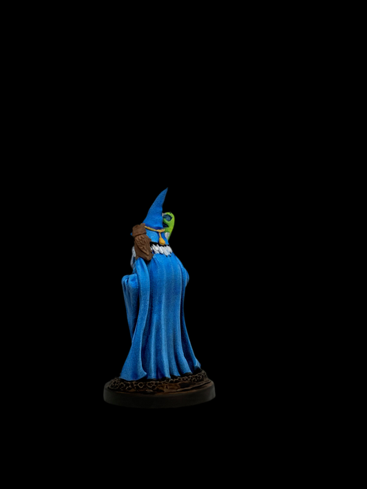 Human Wizard