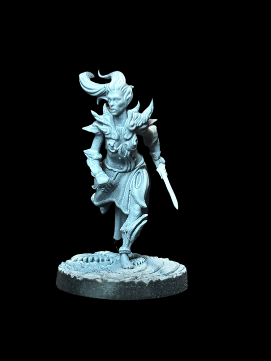 Elf Fighter