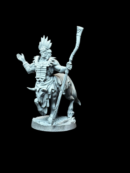 Centaur Shaman