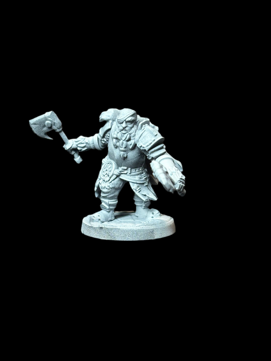 Dwarf Fighter