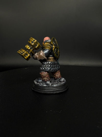 Dwarf Fighter