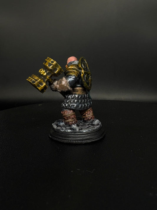 Dwarf Fighter