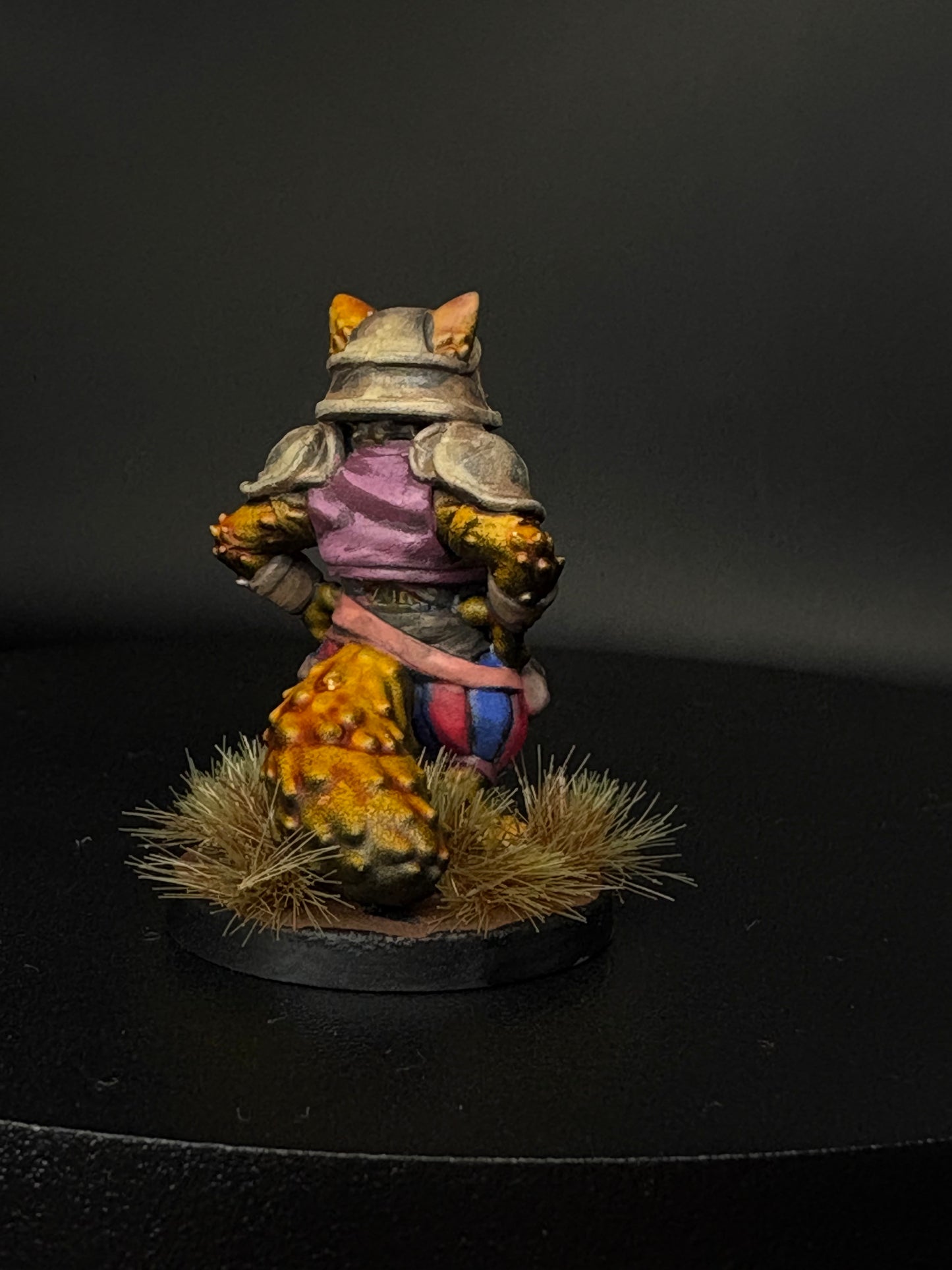 Tabaxi Fighter