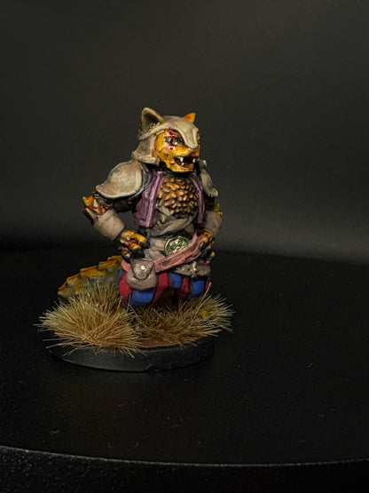 Tabaxi Fighter