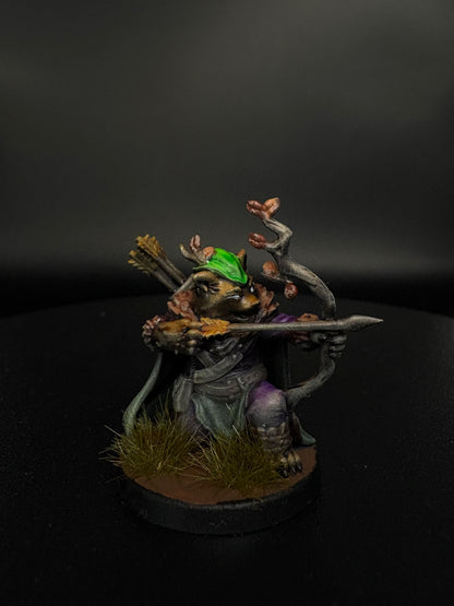 Raccoon Ranger