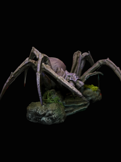 Huge Spider