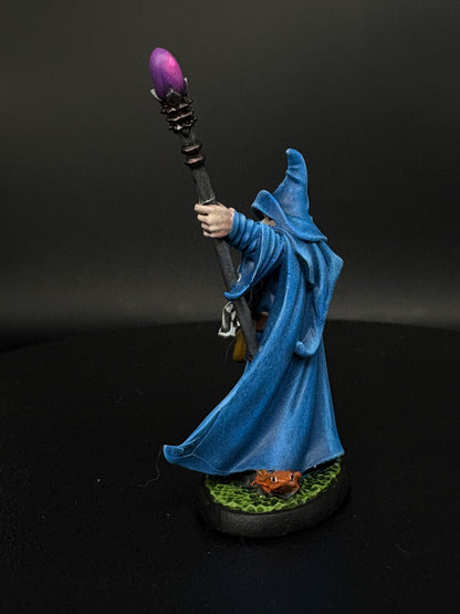 Human Wizard