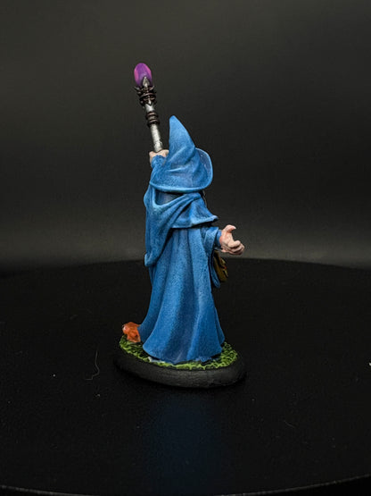 Human Wizard