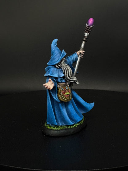 Human Wizard