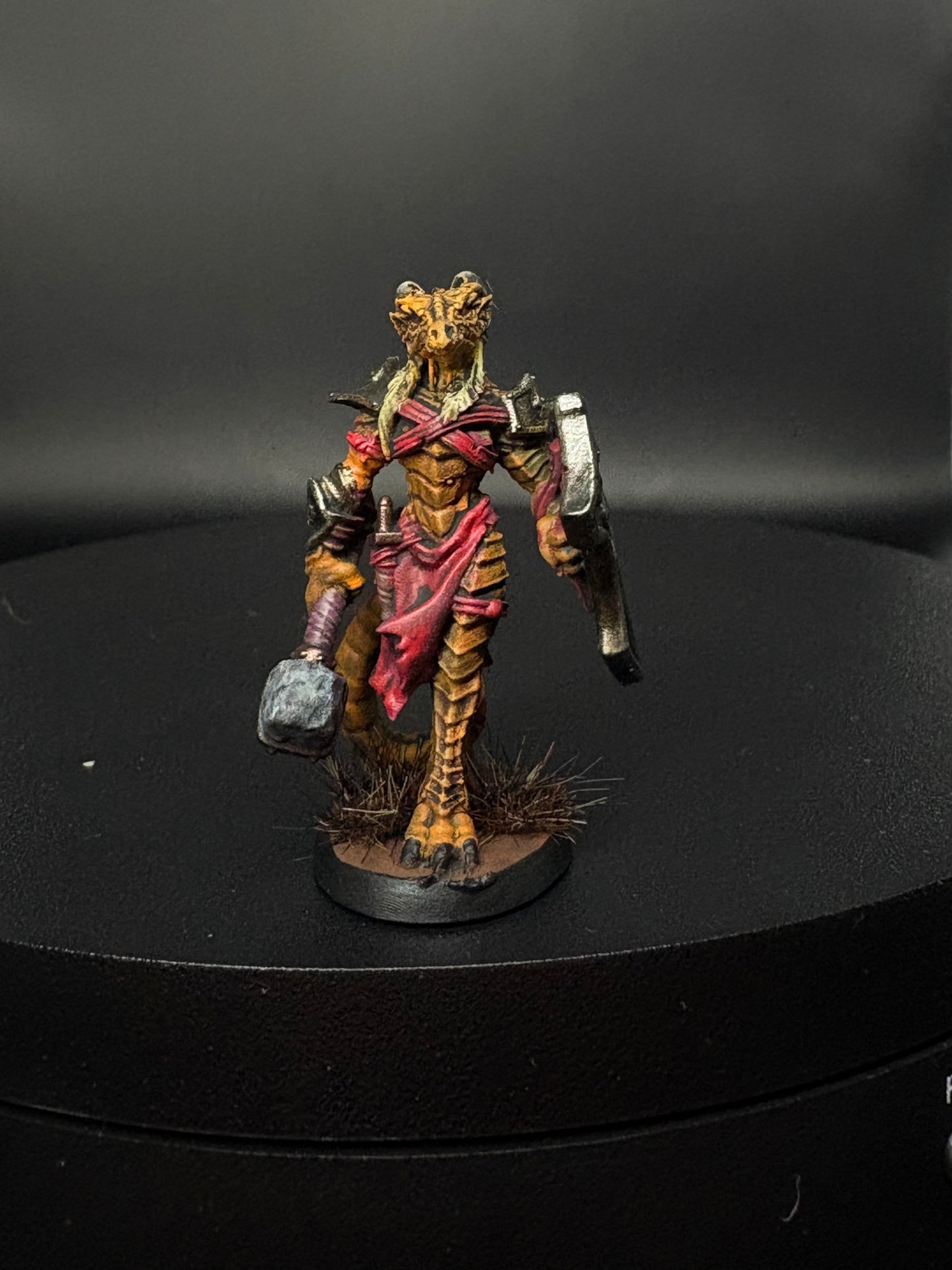 Dragonborn Fighter