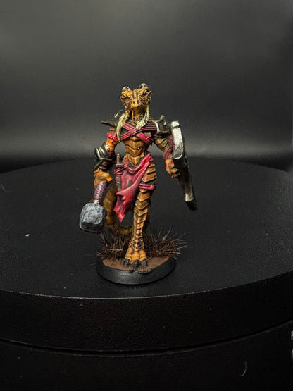 Dragonborn Fighter