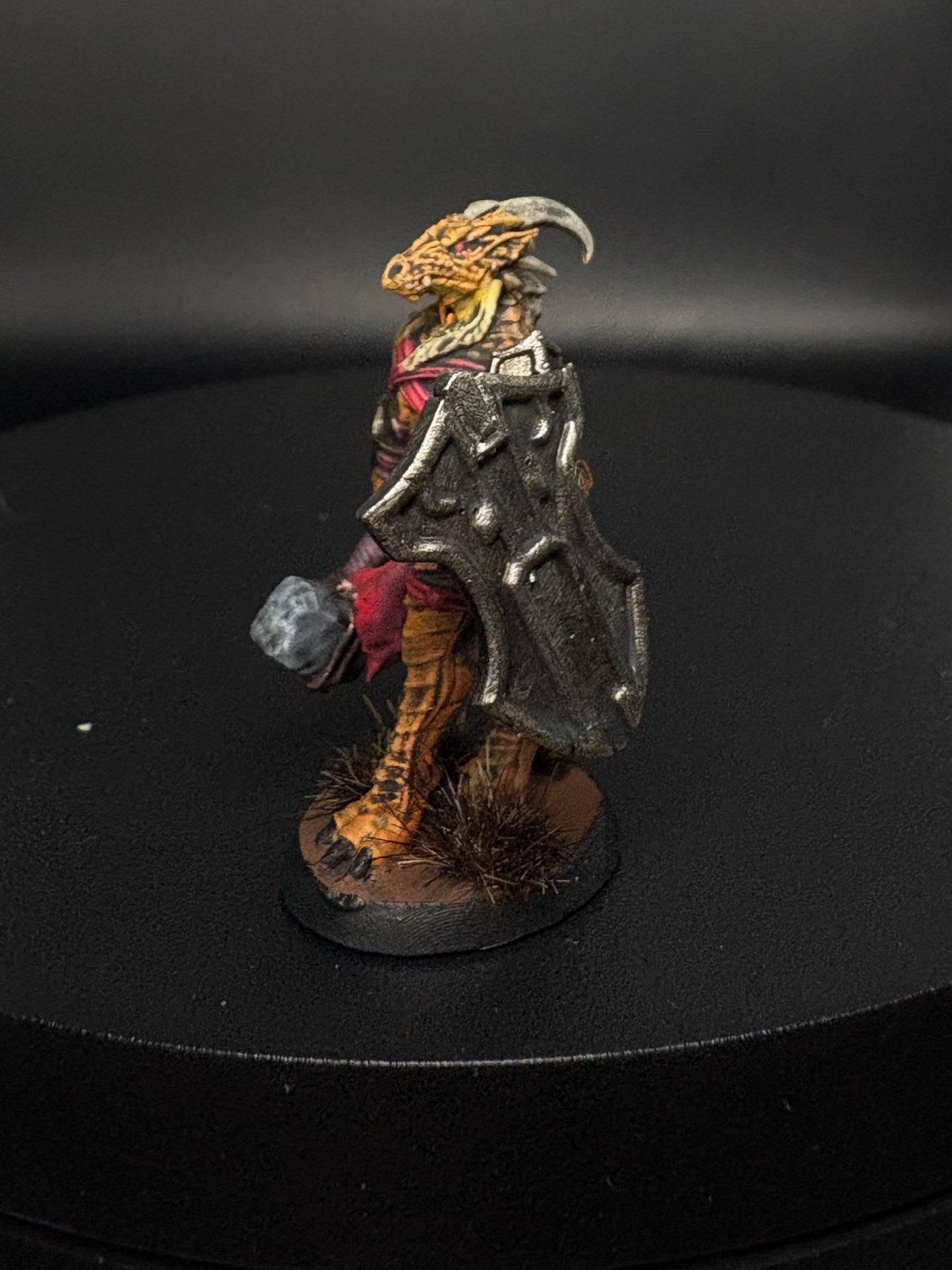 Dragonborn Fighter