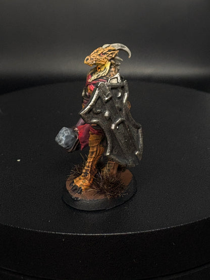 Dragonborn Fighter