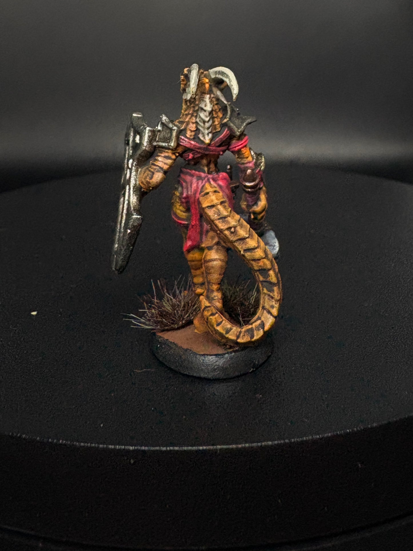 Dragonborn Fighter