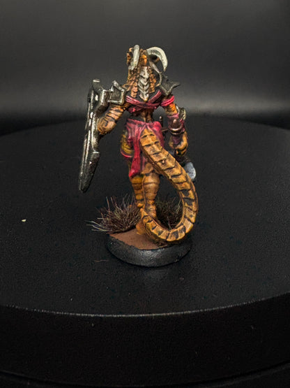 Dragonborn Fighter