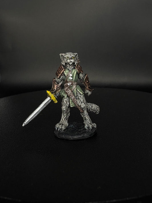 Tabaxi Fighter
